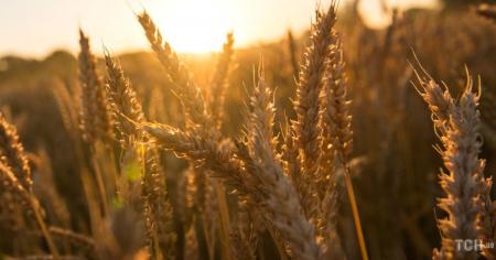 f1304b9ece1b60a636ed1c6733bb7f0b_28.08.25