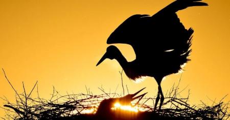 Що зірки нам пророкують: гороскоп на 26 травня - 1 червня 2025 року