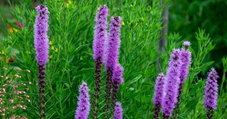 Гороскоп на 27 липня для всіх знаків зодіаку: день, коли доведеться зробити вибір між добром і злом