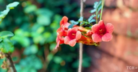 Гороскоп на 7 серпня для всіх знаків зодіаку: день, коли небеса влаштують нам на іспит на витримку