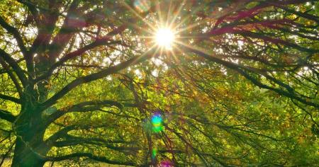 Як святкувати осіннє рівнодення 2025 року: коли воно відбудеться, що означає ця дата