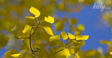 f90c1c66d589d64ccd894526b0c450c0_29.09.25