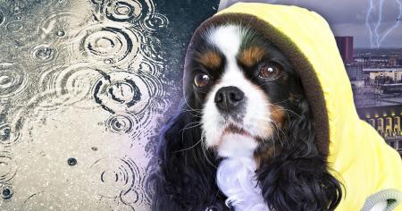 Погода в Україні 10 вересня: синоптикиня зробила прогноз