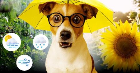 fdfd0d68a388bf328d7180a21679e7fd_17.09.25