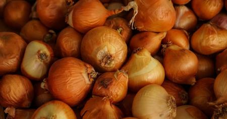 feef560c16782acd5974cea2b0f4700b_02.10.25