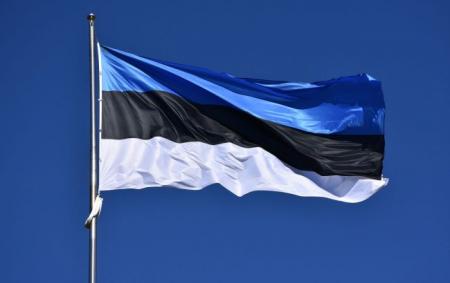 Естонія вводить штрафи для власників машин на російських номерах