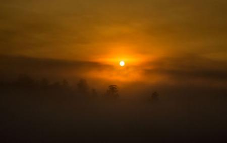 gettyimages_1342964354_5_650x410_15.01.23