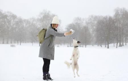 gettyimages_925877182_3_650x410_14.02.23