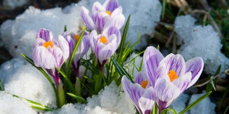 Перший день весни в Україні буде прохолодним, місцями мокрий сніг