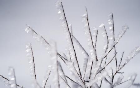 Мороз до -20, а в двух областях навіть до -25. Синоптики дали прогноз на 9 січня