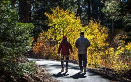 Без опадів, але з туманами. Синоптики дали прогноз на 10 листопада в Україні