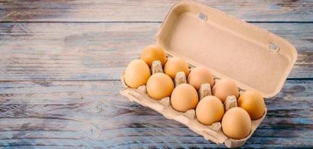 ingredient-lunch-white-fresh-cholesterol1203-7317_09.07.25_1