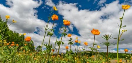 landscape_09.06.25_1