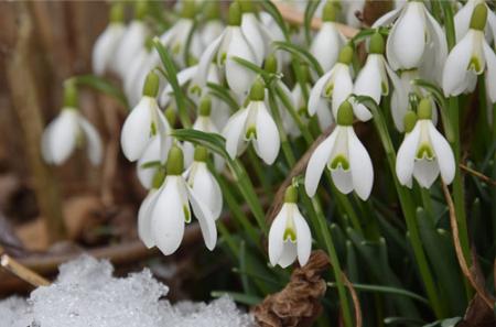 Весна настане рано: якою буде погода у Києві у лютому