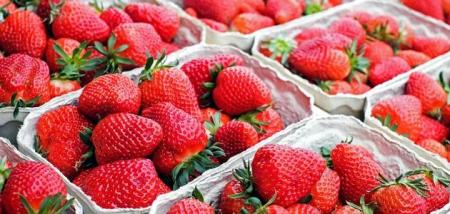 polunitsya_07.05.25_1