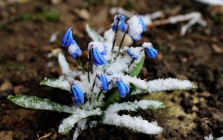 В Україну йде дуже рання весна? Синоптики дали новий прогноз