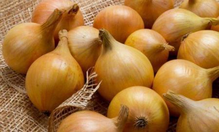 tsibulya-35807_05.05.25