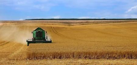 Багато врожаїв знищено повністю: Росія може втратити значну частину найважливіших сільгоспкультур