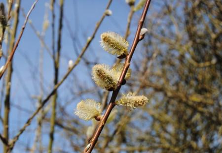 zrAWDAVjefZteWZskDpM0UWkn1Cvi4V6oOSYIOh8_14.03.23