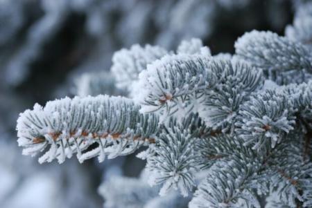 Аномальные перепады температур и сильные морозы: Кульбида дал новый прогноз погоды на зиму 