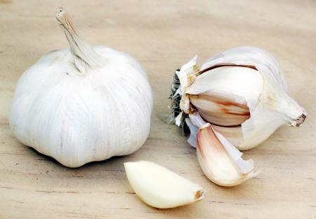 Garlic326