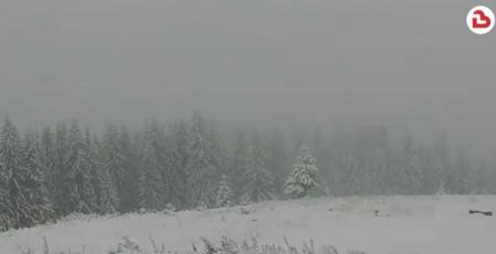 Буковель и Драгобат в снегу: Карпаты засыпало снегом 