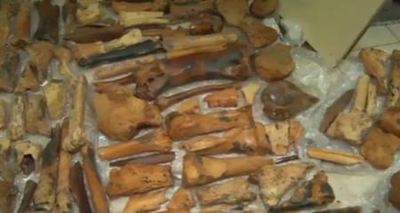 В Крыму в пещере нашли останки мамонтов и мастодонтов 