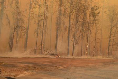 В Зоне ЧАЭС выгорел сверхрадиоактивный Рыжий лес: Припять под угрозой