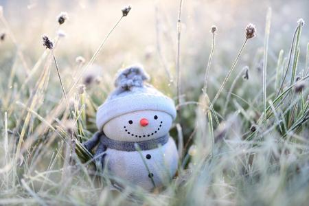 Чи чекати українцям на мороз і сніг на Новий рік-2023: синоптики дали прогноз