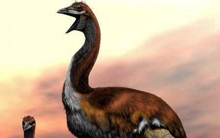 Названа самая крупная птица в истории