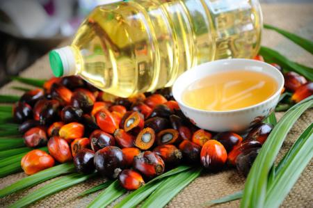 Украина рекордно импортировала пальмового масла 