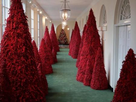 Белый дом к Рождеству украсили красными елками