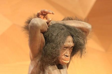 Неандертальцы имели такую же группу крови, как и мы 