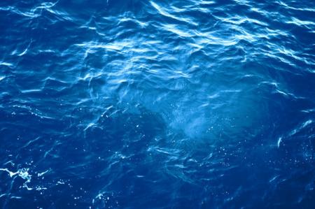 Мертвые зоны в океане оказались долгожителями 
