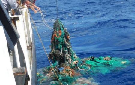 Пятно мусора в Тихом океане в три раза превысило площадь Франции 
