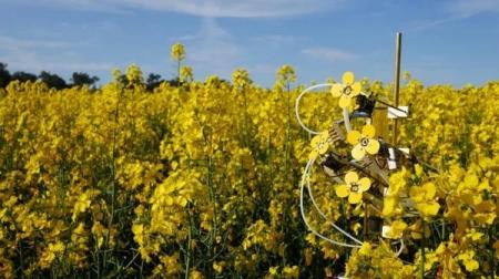 Для пчел в США создали искусственные цветы с настоящей пыльцой 