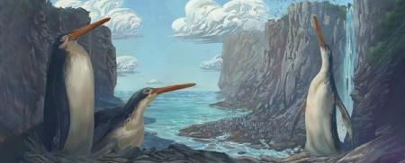 Школьники обнаружили останки гигантского пингвина с длинными ногами 