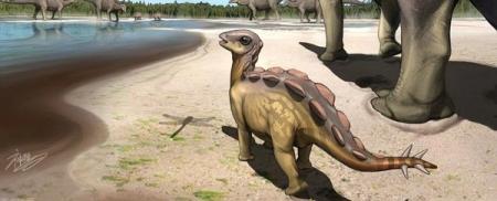 Самый маленький стегозавр оказался размером с кошку 