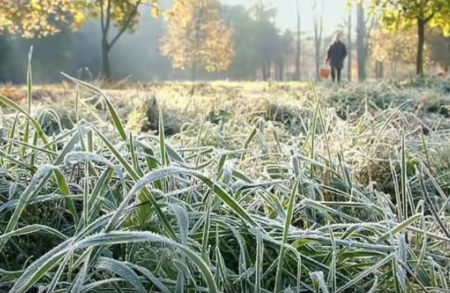В Украину идут похолодание и заморозки: вторгнется арктический ветер