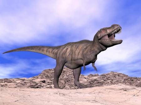 Тираннозавр терроризировал Землю намного больше, чем считалось 