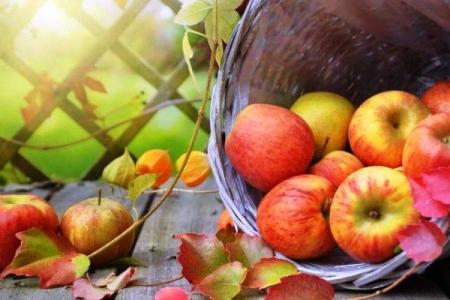 Яблочный Спас 2019: традиции праздника
