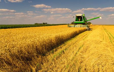 Компания из Саудовской Аравии купила украинский агрохолдинг