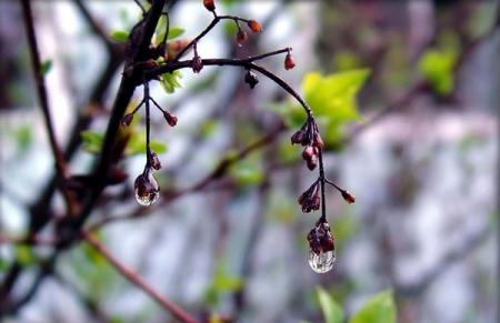 Ykraina_Pogoda_13.04.18