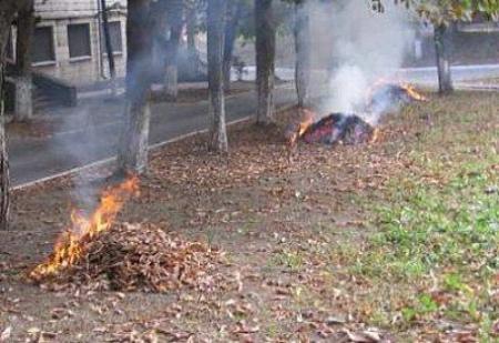 Какой штраф грозит украинцам, сжигающим сухие листья 