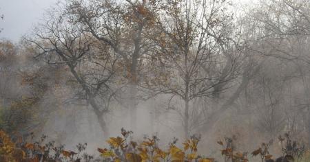 Україні прогнозують холодні ранкові тумани та до +15° вдень