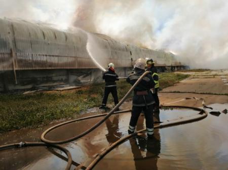 В Киевской области горела птицефабрика: огонь охватил 15 тысяч кв. м. 