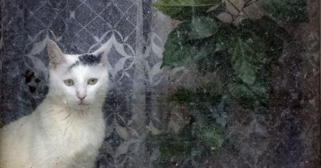 003fcb72d1dc18342d2b24a63e0d453a_03.04.26