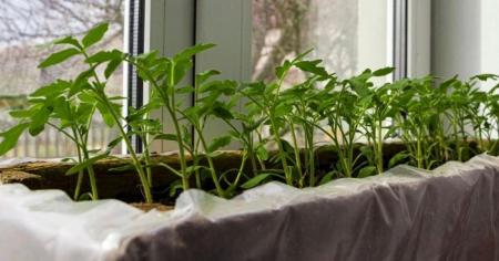 017f1365b2cd645f81ba8af33468bc66_06.03.26_1