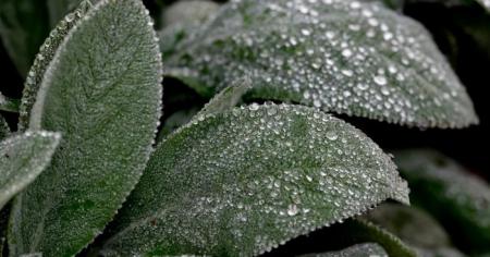 01846a095a20b82ecdde90074bf80e4a_09.04.26_1