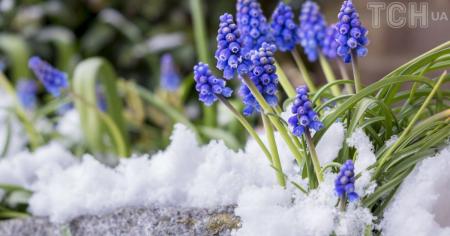 025da72c8547bb273400cedda3d95e73_04.03.26